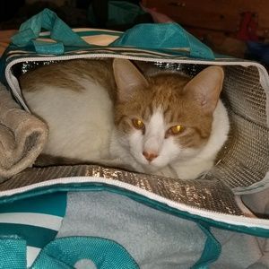 Meet your Posher, Helene